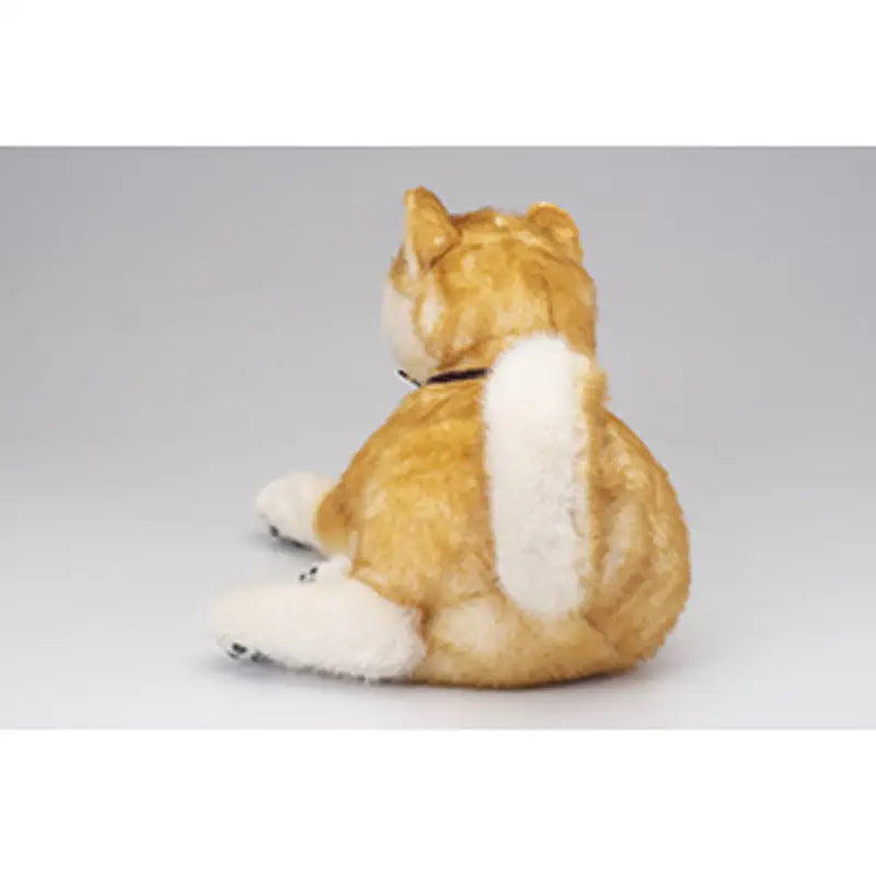 Akita Inu Hachi EX Companion - RobotShop
