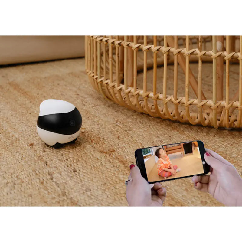 EBO SE Intelligent Robot Companion - RobotShop