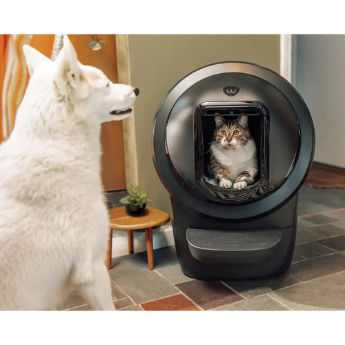 Blindage Litter-Robot 4 (Noir) Litter-Robot 4 Shield (Black)