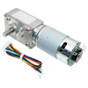 High Torque Gearmotor Self-Locking Worm Gear Motor w/ Encoder - 24V, 56RPM