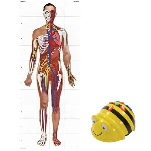 TTS Bee-Bot Programmable Robot with Human Body Activity Play Mat Bundle - See &amp; Say Version - Educational STEM Learning Coding Robotics for Kids Age 3+