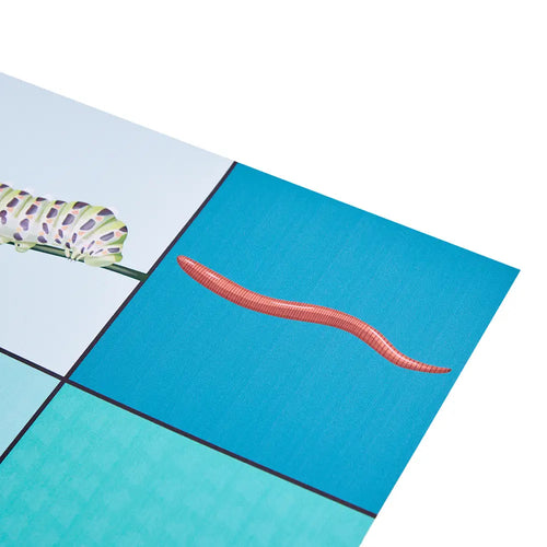 Loti-Bot Minibeasts Activity Mat – Educational STEM Playmat Compatible with Loti-Bot, Bee-Bot and Blue-Bot