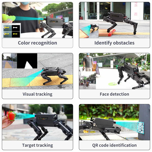 Yahboom 12DOF ROS2 Robot Dog DOGZILLA S2 with AI Vision Support Lidar Mapping Navigation for Raspberry Pi 5(without Raspberry Pi board)