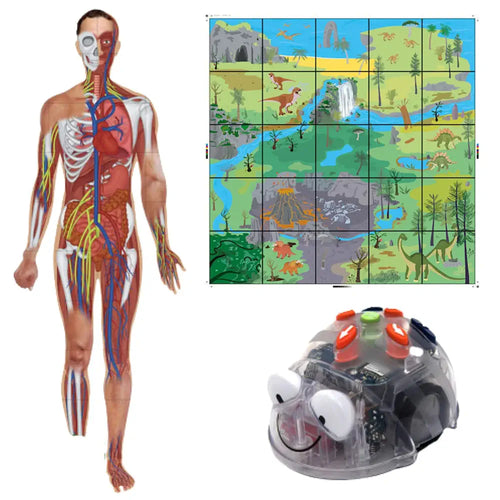 Blue-Bot  Programmable Robot with Human Body Mat and Dinosaur Mat, STEM Learning Activity Coding Toy