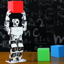 Hiwonder TonyPi Pro AI Humanoid Robot with Raspberry Pi 5 – Integrated Multimodal AI Model (ChatGPT), AI Vision Tracking, Voice Interaction, and Hand-Eye Coordination (Raspberry Pi 5 16GB Kit)