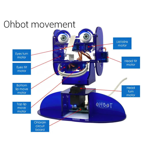 Ohbot Coding Robot Kit 2.1 Kit (MS Windows) | Programming &amp; Learning Robot Toy| Above 7 years