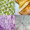 uHandy Pro Mobile Microscope Science Kit – 45×–270× Portable Smartphone/Ta­blet Microscope with Hi-Mag Pro Lens for STEM, Education &amp; Field Exploration