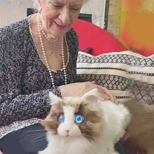 Metacat Smart Robot Cat Interactive Companion Pet Robotic Pet(Ragdoll )