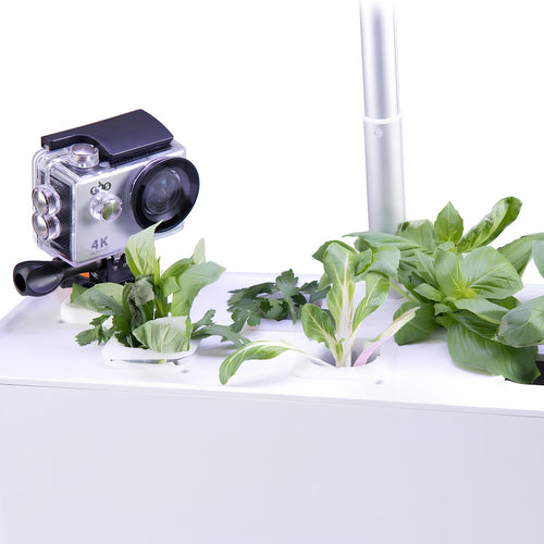 TTS Camera Mount for Hydroponic Garden System, Perfect for Educational Classroom Gardening Teaching and Learning Materials
