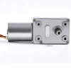 DC Brushless Worm Gear Motor 2430BL for Robots, 12V, 23RPM