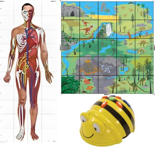 TTS Bee-Bot Programmable Robot with Human Body Mat and Dinosaur Mat - STEM Learning Coding Robot Toy for Kids Age 3+ Years