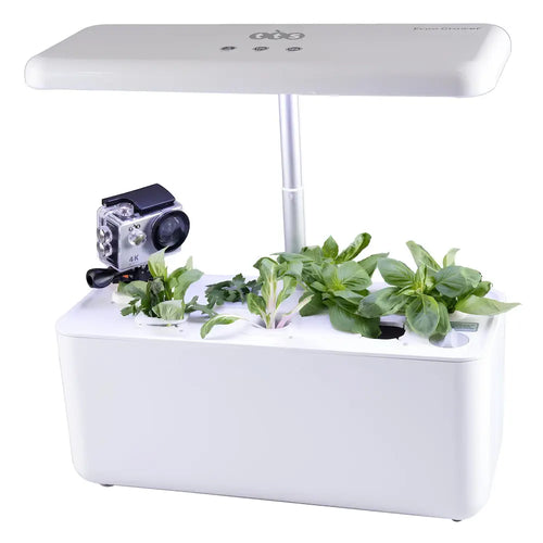 TTS Hydroponic Garden System w/ 7 Compartments, Educational STEM Compact Smart Gardens, Perfect for Teaching and Learning Materials