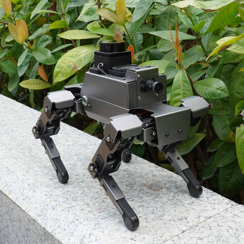 Yahboom 12DOF ROS2 Robot Dog DOGZILLA S2 with AI Vision Support Lidar Mapping Navigation for Raspberry Pi 5(without Raspberry Pi board)