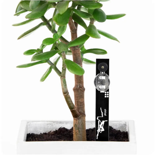 Chirp Plant Watering Alarm and Soil Moisture Sensor