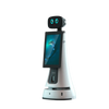 CPJROBOT AI Intelligent Humanoid Welcome Robot PPBot