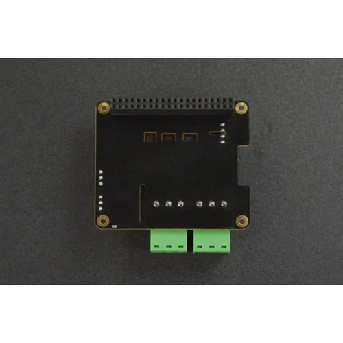 DFRobot Dual-Channel RS485 Expansion HAT for Raspberry Pi 4B