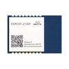 EWM181-Z12SX(C) Coordinator ZigBee 3.0 Wireless Module Network Self-healing Equipped with onboard PCB antenna Simple and easy to develop