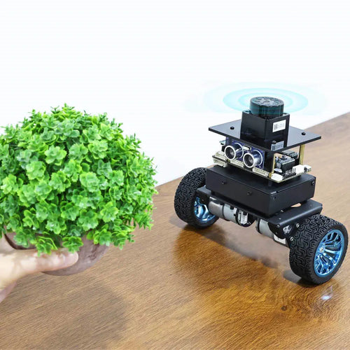 Yahboom STM32 Self-balancing Robot Car--Lidar kit