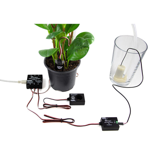 Education Plant Kit - Monitor & Water Plants