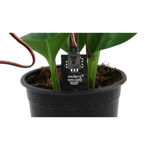 Education Plant Kit - Monitor & Water Plants