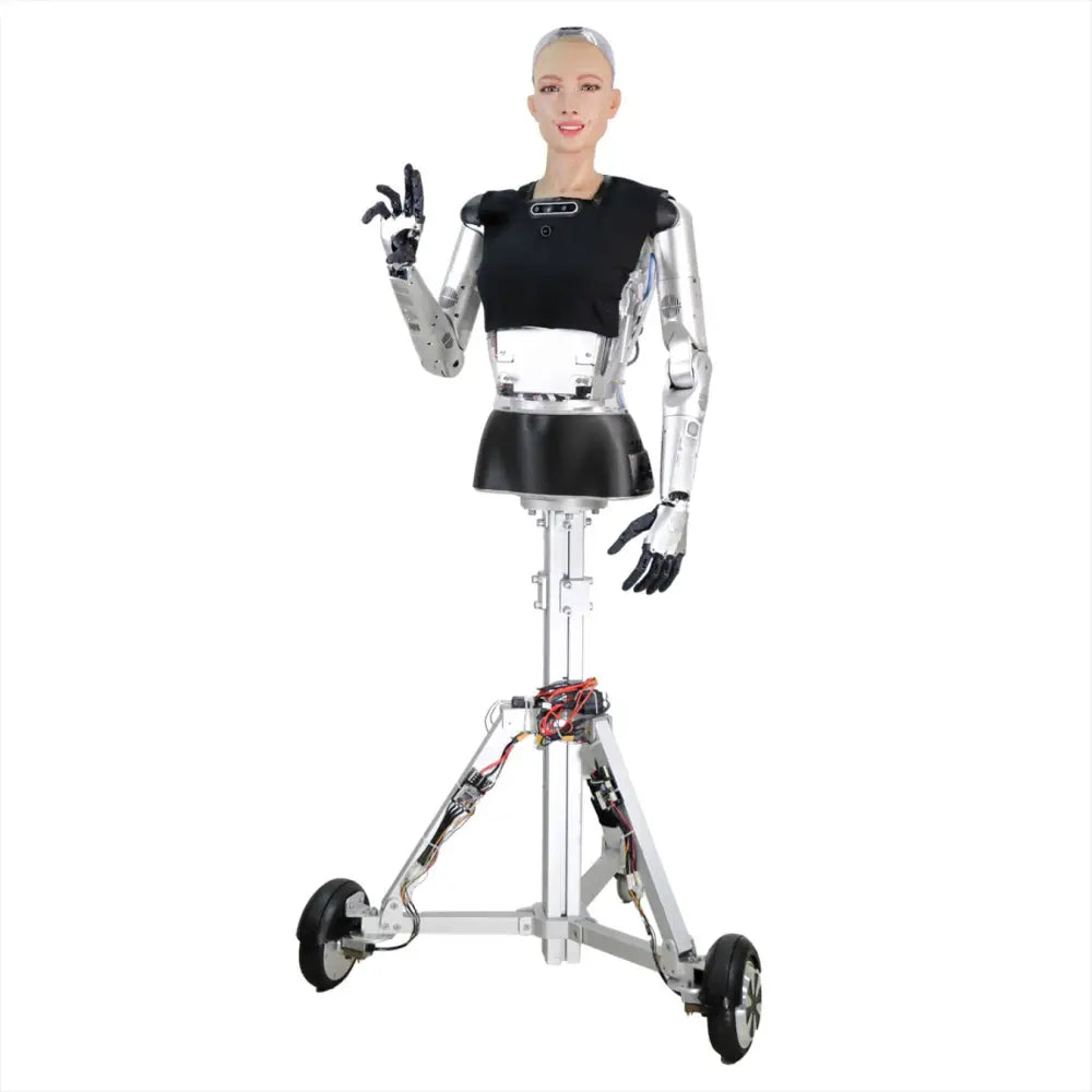 Hanson Robotics Sophia Robot, R&D Version