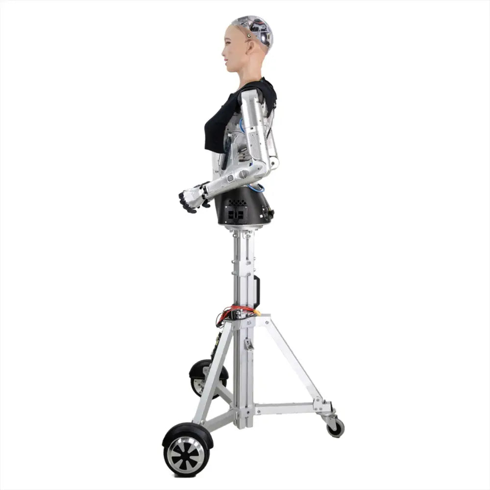 Hanson Robotics Sophia Robot, R&D Version