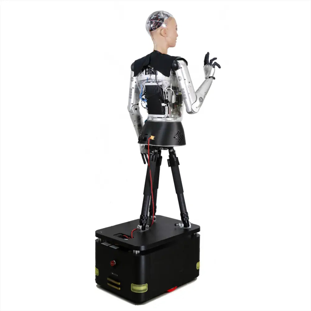 Hanson Robotics Sophia Robot, R&D Version