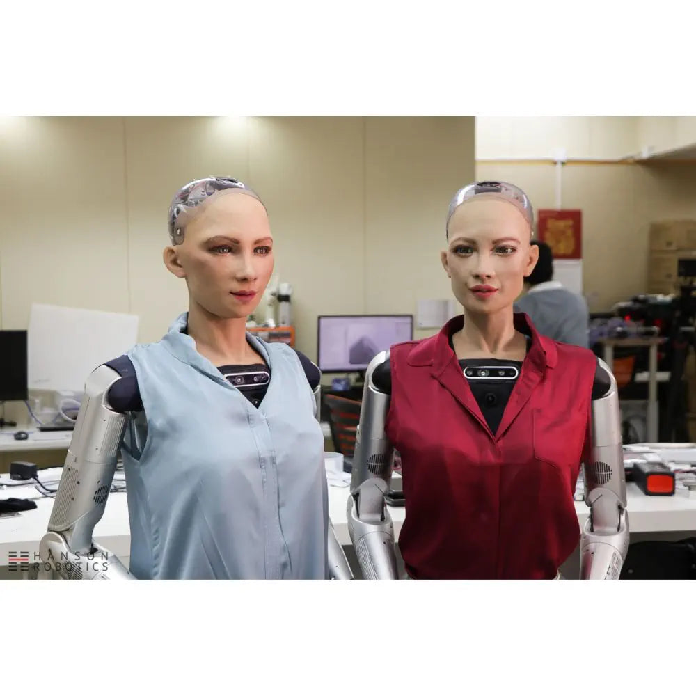 Hanson Robotics Sophia Robot, R&D Version