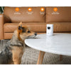 Instachew Purrsight 360° Smart App Pet Camera w/ Night Vision & 2 Way Audio
