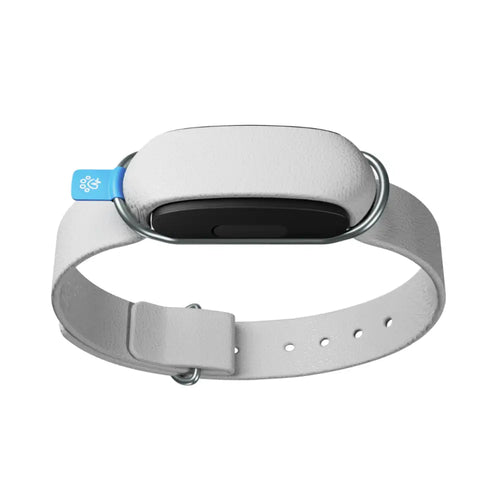 Invoxia Minitailz Biotracker GPS Tag for Dogs