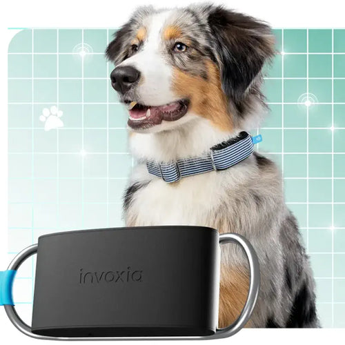 Invoxia Minitailz Biotracker GPS Tag for Dogs
