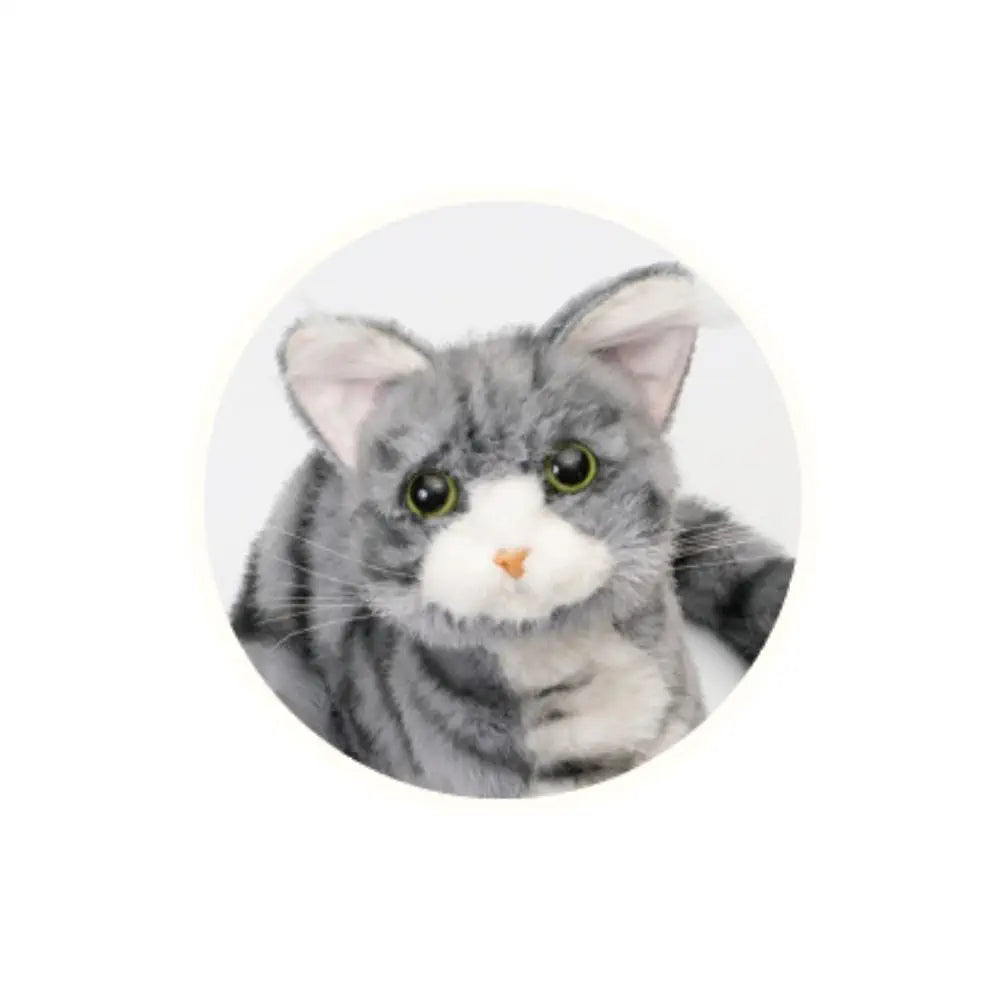 Trendmaster Ninja Kitten – American Shorthair Model