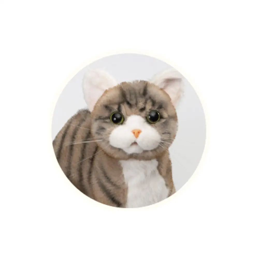 Trendmaster Ninja Kitten – Brown Tabby Model
