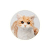 Trendmaster Ninja Kitten – Orange Tabby Model