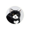 Trendmaster Ninja Kitten – Tuxedo Model