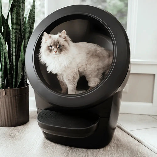 Litter-Robot 4 Automatic Self-Cleaning Litter Box – Black Bundle