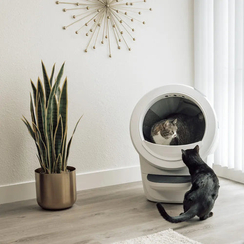 Litter-Robot 4 Automatic Self-Cleaning Litter Box – White Bundle