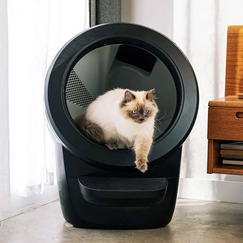 Litter-Robot 4 Automatic Self-Cleaning Litter Box – Black Bundle