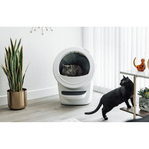 Litter-Robot 4 Fence - White