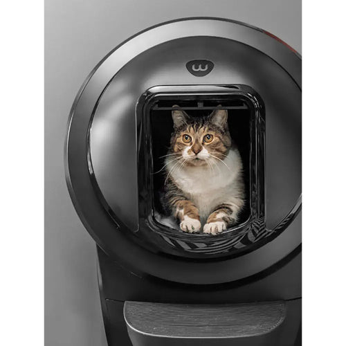 Litter-Robot 4 Shield (Black)