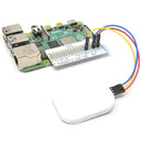 Monk Makes Illuminata