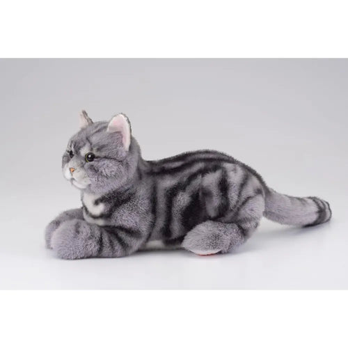 Ninja Cat EX American Shorthair Companion