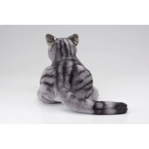 Ninja Cat EX American Shorthair Companion