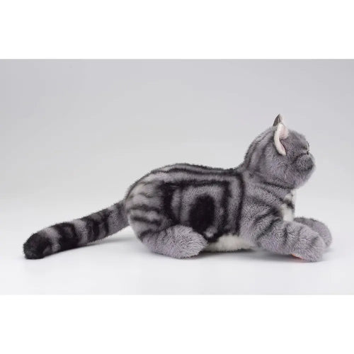 Ninja Cat EX American Shorthair Companion