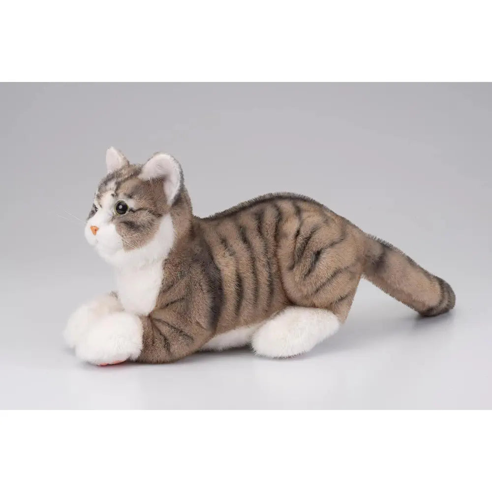 Ninja Cat EX Brown Tabby Pheasant Tiger Companion
