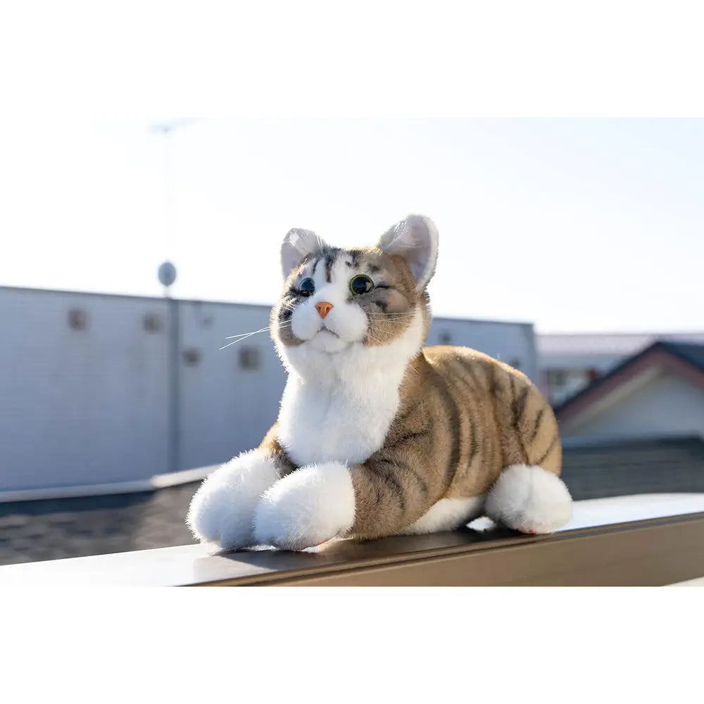 Ninja Cat EX Brown Tabby Pheasant Tiger Companion