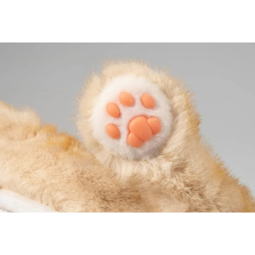 Ninja Cat EX Orange Tabby Companion