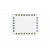 Entry Radar Module (XM132)