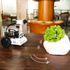Hiwonder Gogopi Intelligent Vision Robot Car (Without Raspberry Pi 4B)
