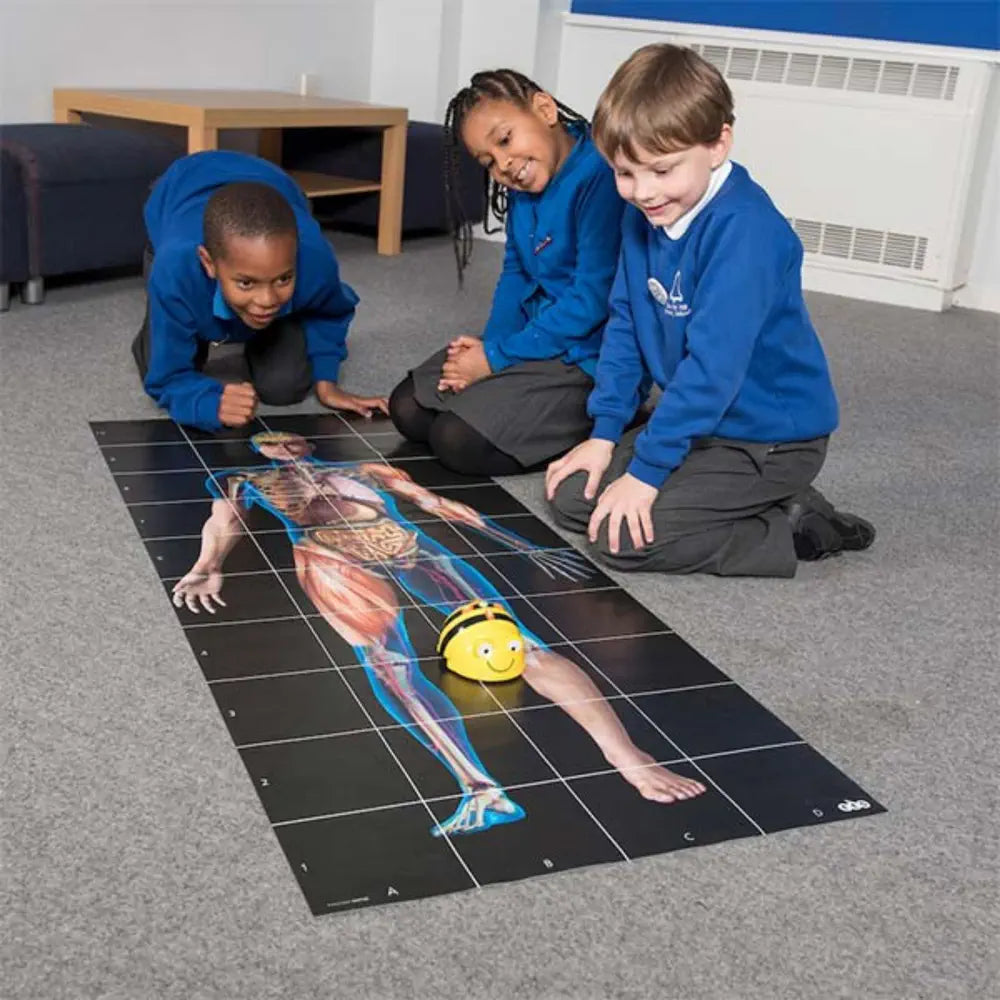 TTS Bee-Bot Blue-Bot Human Body Mat - STEM Coding Floor Mat for Kids - Interactive Internal Organ Learning Activity - Anatomy Science Education Classroom Robot Play Mat